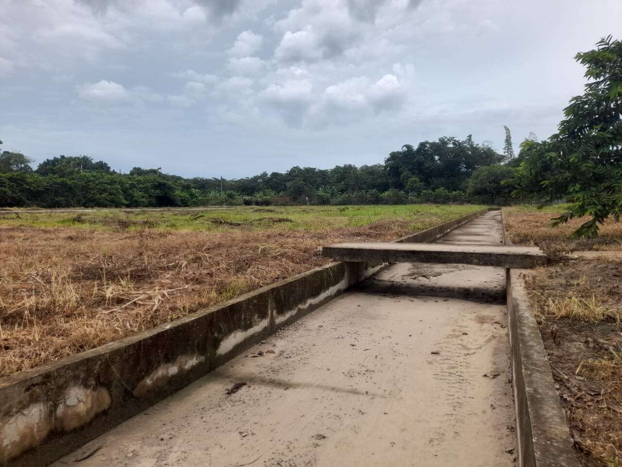 Mantenimiento Canales en zonas de seguridad