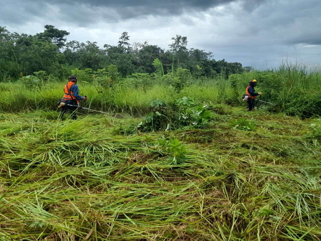 Rocerias y Mantenimiento en Zonas de Seguridad Aerea